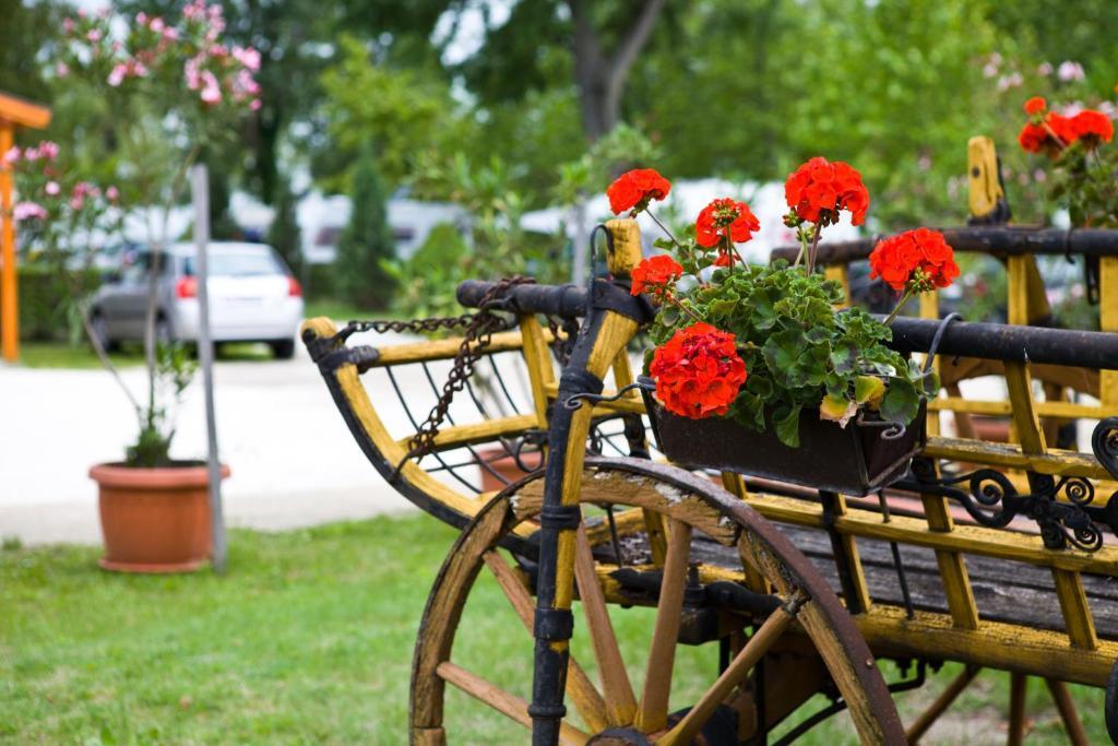 Balaton Eldorado Camping 호텔 Badacsonytördemic 외부 사진