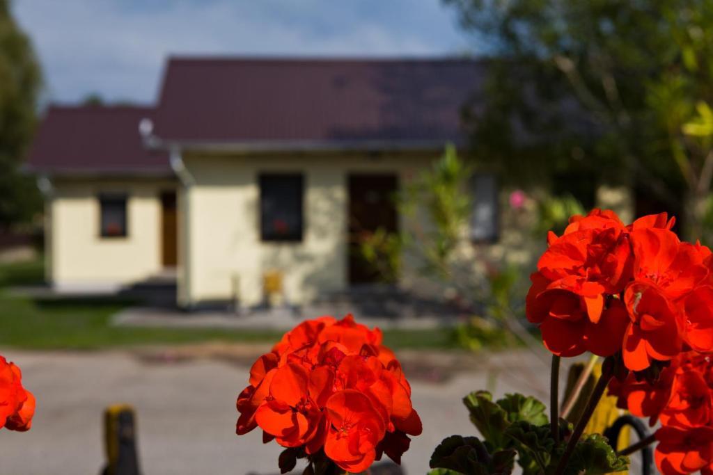 Balaton Eldorado Camping 호텔 Badacsonytördemic 외부 사진